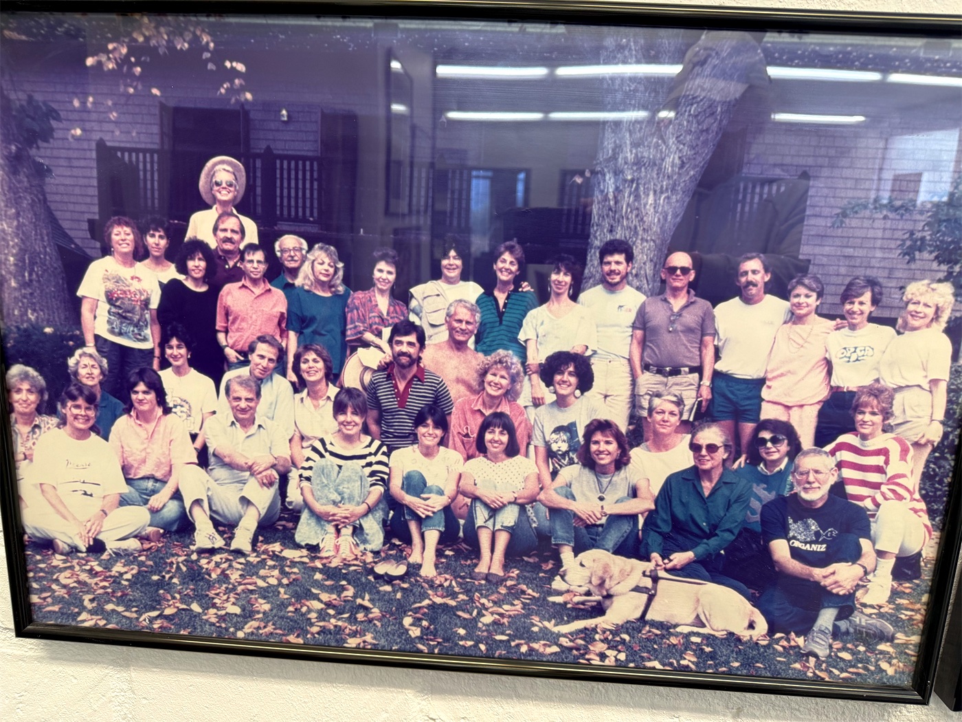 A snapshot from the SCCC family.